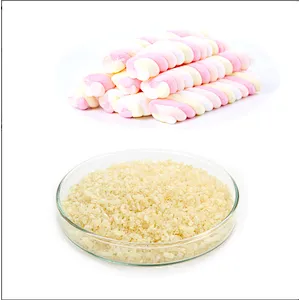 Halal Certificate for Food and Pharma Grade Bovine Beef Gelatin